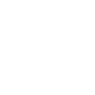 White_ZN_for_Website.png