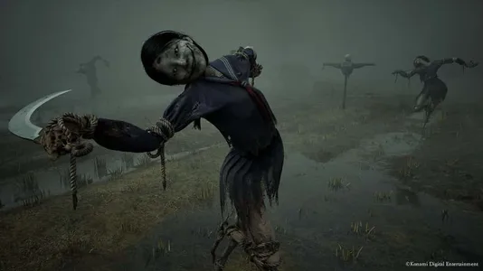 Das Feld-Rätsel (Reisfeld südlich von Rinkos Haus) — Silent Hill f