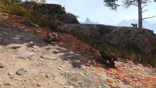 Fundort der Katzeninsel in Assassin's Creed Shadows